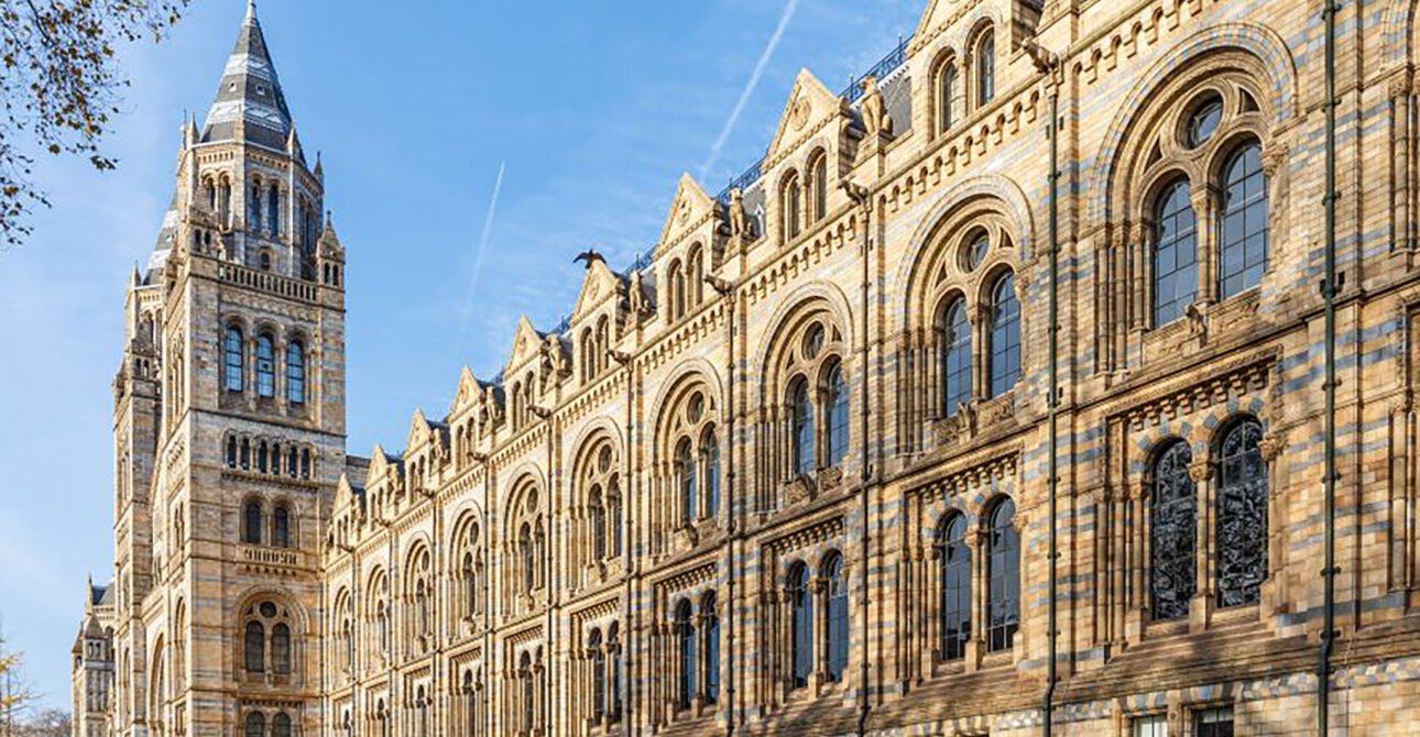 London’s Natural Marvels: Museum Expedition